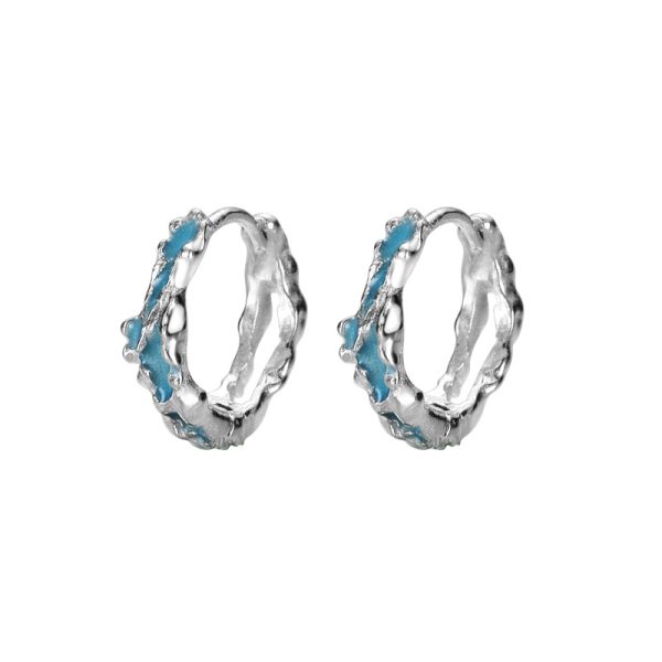 E6043 special-shaped ear buckle female S925 sterling silver