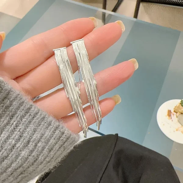 Real S925 Sterling Silver Supports Detection of A Long Snake Bone Tassel Ear Line Temperament Female Personalized Earrings