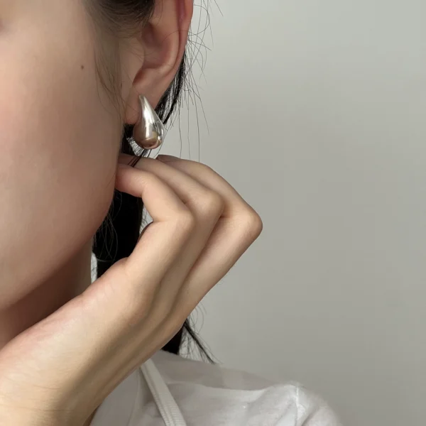 Niche design earrings for women S925 sterling silver full three-dimensional hollow water drop high-end earrings temperament earrings